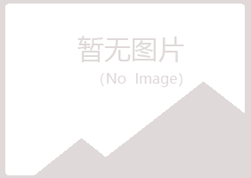 岐山县折磨服务有限公司